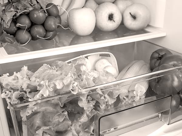 как хранить продукты в холодильнике